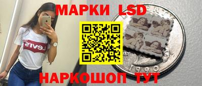 прущие грибы Ирбит