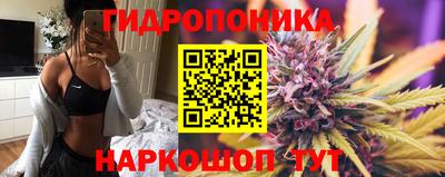 прущие грибы Ирбит