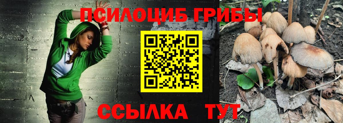 Людиново  Псилоцибиновые грибы прущие грибы  Вход с VPN  Псилоцибиновые грибы GOLDEN TEACHER 